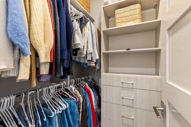 20 Caymus Ln Unit D, Bozeman, MT 59718 - view of walk in closet