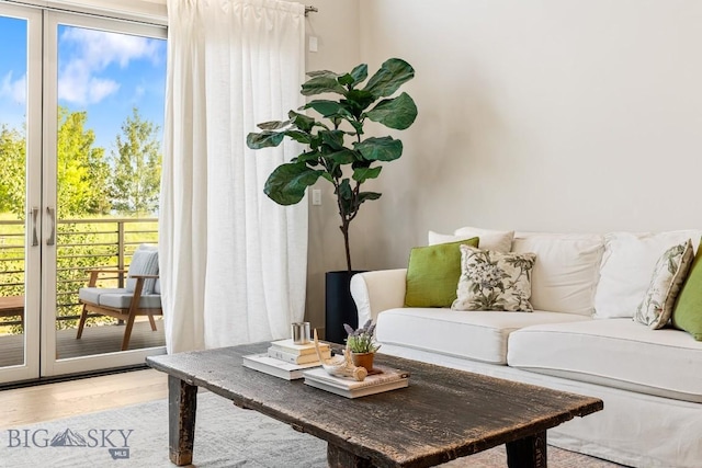 20 Caymus Ln Unit D, Bozeman, MT 59718 - living area with plenty of natural light and wood finished floors