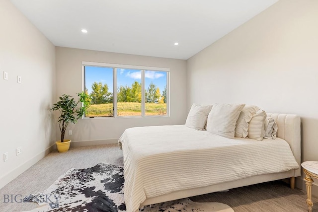 20 Caymus Ln Unit D, Bozeman, MT 59718 - carpeted bedroom with baseboards and recessed lighting