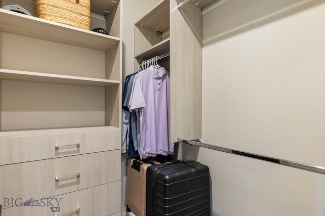 20 Caymus Ln Unit D, Bozeman, MT 59718 - view of walk in closet