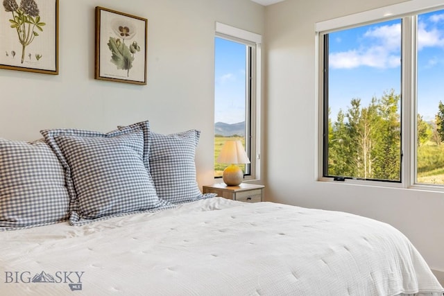 20 Caymus Ln Unit D, Bozeman, MT 59718 - bedroom featuring multiple windows