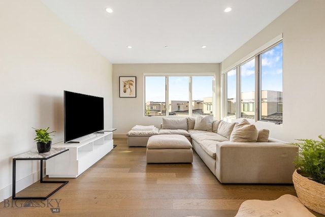 20 Caymus Ln Unit D, Bozeman, MT 59718 - living area with healthy amount of natural light, light wood-style flooring, and recessed lighting