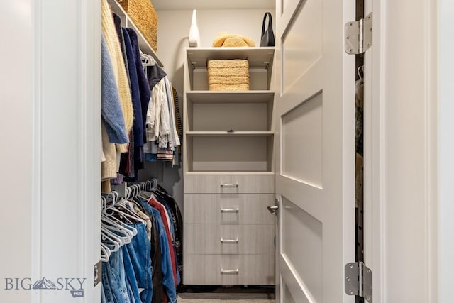 20 Caymus Ln Unit D, Bozeman, MT 59718 - view of walk in closet