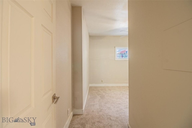 1823 Lafayette, Butte, MT 59701 - corridor with light carpet and baseboards