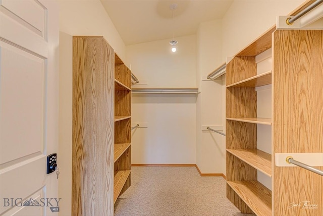 513 Burnham Pl, Helena, MT 59601 - walk in closet with carpet