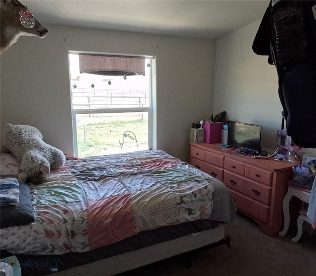 281 Snowcrest Trl, Dillon, MT 59725 - photo 29