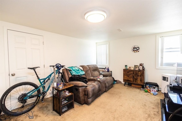 721 W Park Ave, Anaconda, MT 59711 - living area featuring carpet floors