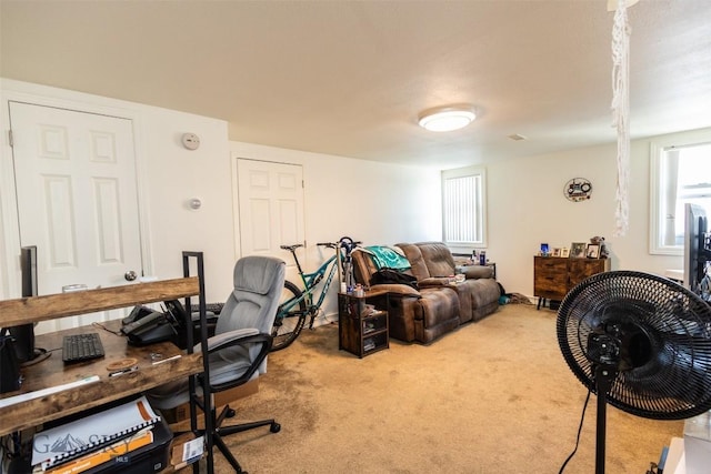 721 W Park Ave, Anaconda, MT 59711 - view of carpeted office space
