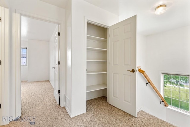 605 Prairie Ave, Bozeman, MT 59718 - view of closet