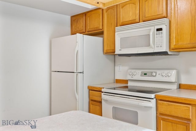 605 Prairie Ave, Bozeman, MT 59718 - kitchen with white appliances and light countertops