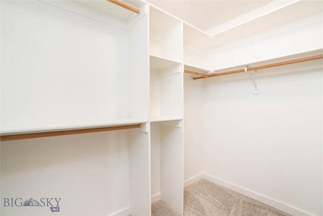 56 Koch Peak Ct, Bozeman, MT 59718 - walk in closet featuring carpet