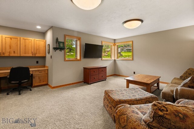 2085 Spotted Elk Rd, Big Sky, MT 59716 - photo 46