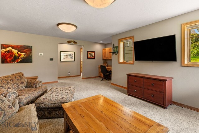 2085 Spotted Elk Rd, Big Sky, MT 59716 - photo 48