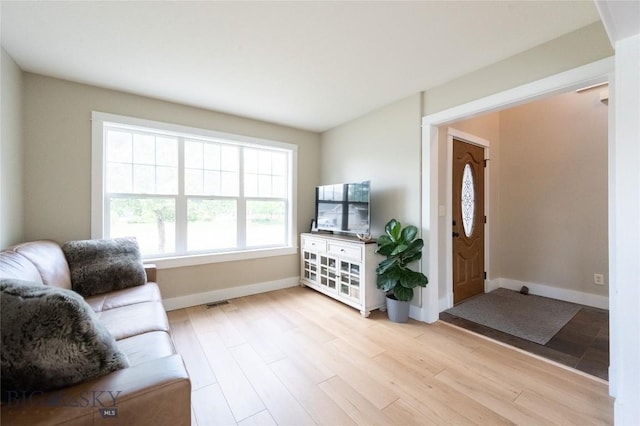 911 N Aster, Bozeman, MT 59718 - living room featuring light wood finished floors