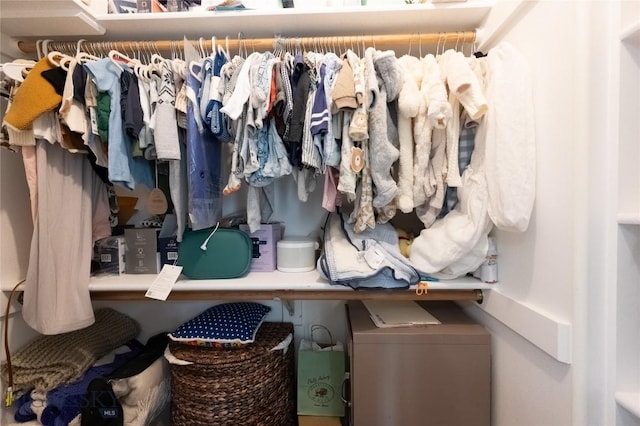 911 N Aster, Bozeman, MT 59718 - view of spacious closet