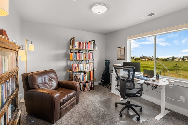 85 Riparian Way, Bozeman, MT 59718 - office space with carpet and baseboards