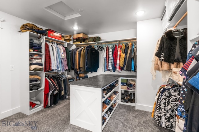 85 Riparian Way, Bozeman, MT 59718 - spacious closet featuring attic access and carpet