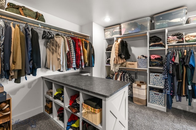 85 Riparian Way, Bozeman, MT 59718 - walk in closet featuring carpet