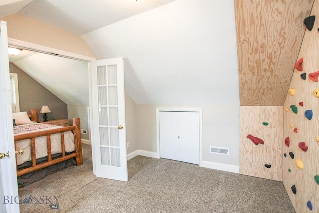 717 N Aster Ave, Bozeman, MT 59718 - bonus room with lofted ceiling and carpet floors