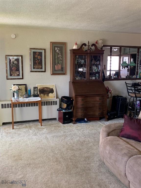 2320 S S Dr, Butte, MT 59701 - living area with radiator heating unit, carpet, and a textured ceiling