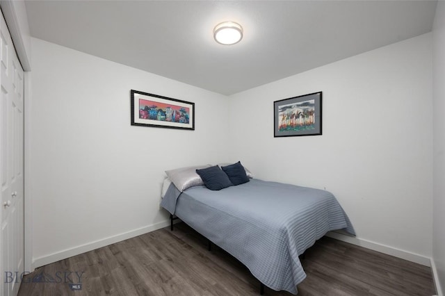 208 Show Pl Unit A, Belgrade, MT 59714 - bedroom featuring a closet and wood finished floors