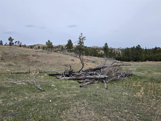 MC-42 Moon Creek Rd, Miles City, MT 59301