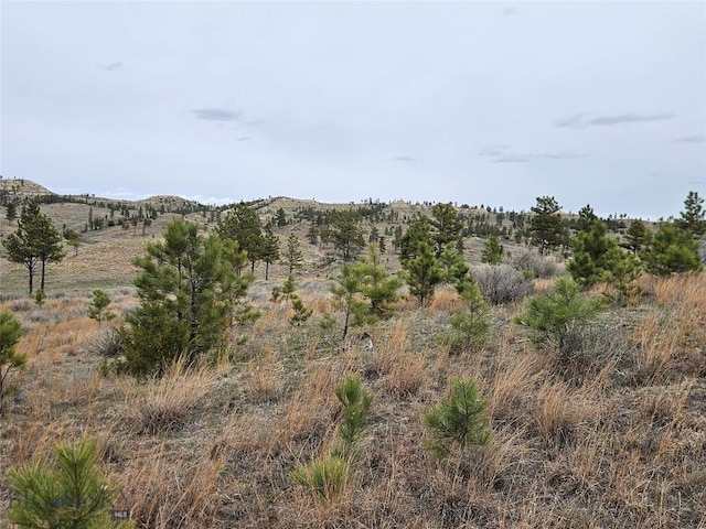 MC-42 Moon Creek Rd, Miles City, MT 59301
