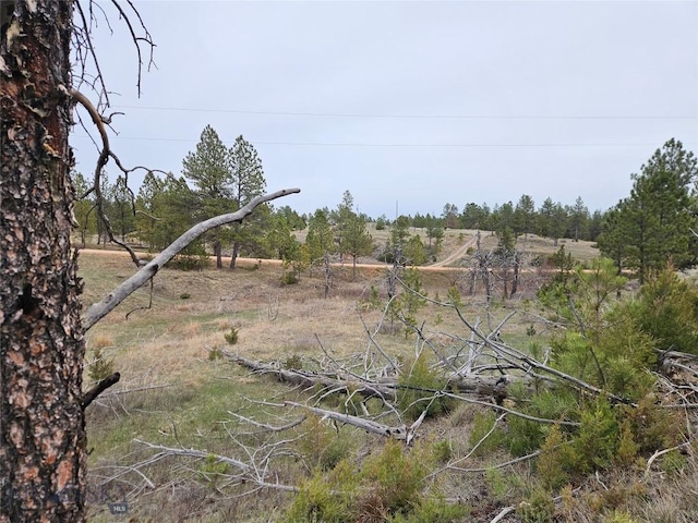 MC-42 Moon Creek Rd, Miles City, MT 59301