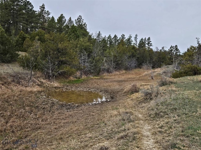 MC-42 Moon Creek Rd, Miles City, MT 59301