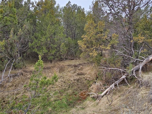 MC-42 Moon Creek Rd, Miles City, MT 59301