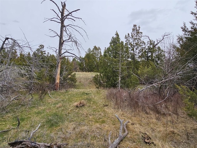MC-42 Moon Creek Rd, Miles City, MT 59301