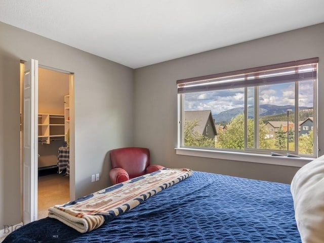 417 Firelight, Big Sky, MT 59716 - carpeted bedroom featuring a walk in closet and a closet