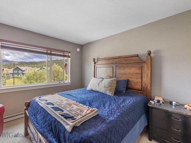 417 Firelight, Big Sky, MT 59716 - bedroom featuring baseboard heating and light carpet