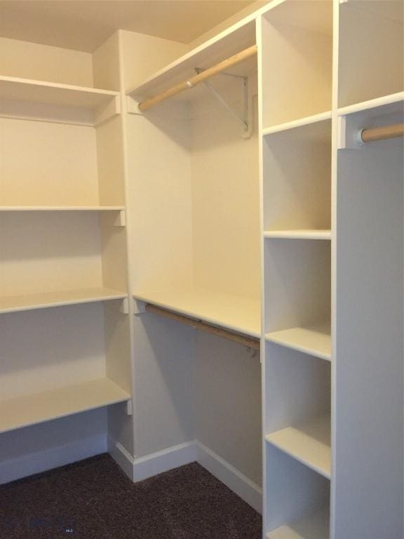 639 Avon Cir, Butte, MT 59701 - walk in closet with carpet floors
