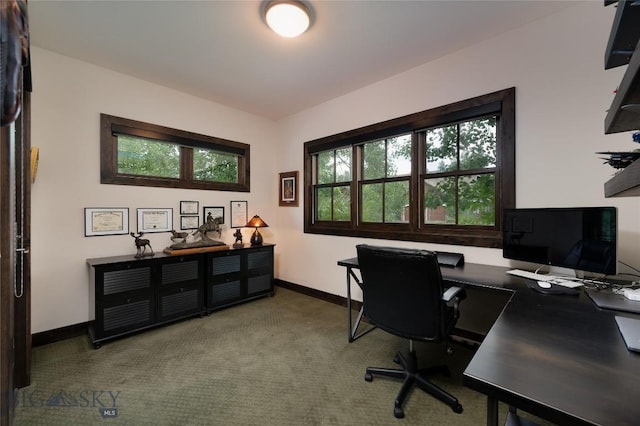 89 W Fieldview St, Bozeman, MT 59715 - carpeted office with baseboards