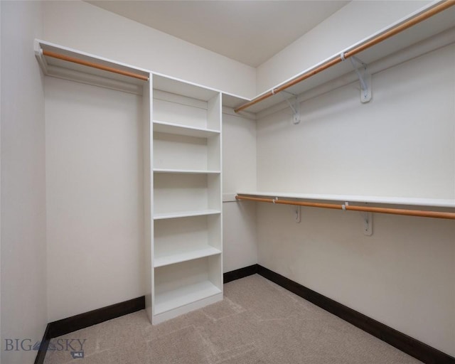 89 W Fieldview St, Bozeman, MT 59715 - walk in closet with carpet floors
