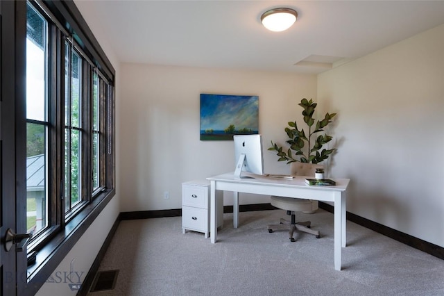 89 W Fieldview St, Bozeman, MT 59715 - home office with carpet floors
