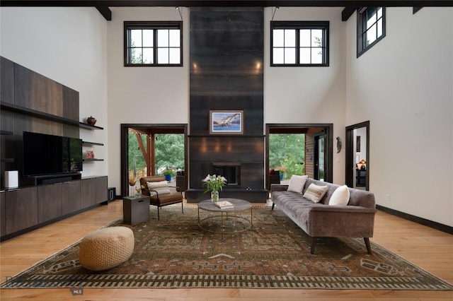 89 W Fieldview St, Bozeman, MT 59715 - living room featuring a towering ceiling, light wood-style flooring, and a fireplace
