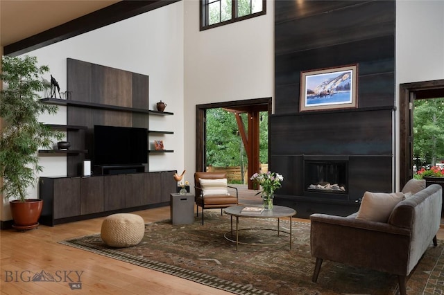 89 W Fieldview St, Bozeman, MT 59715 - living room featuring a high ceiling, a glass covered fireplace, and hardwood / wood-style flooring