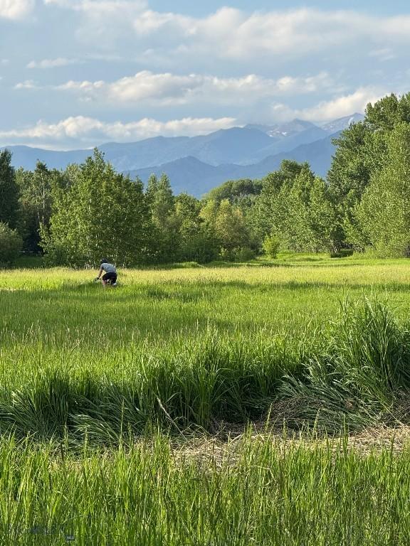 89 W Fieldview St, Bozeman, MT 59715 - mountain view with a heavily wooded area