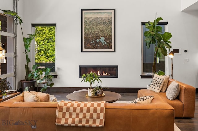 4412 Bembrick St, Bozeman, MT 59718 - living area featuring a glass covered fireplace and wood finished floors