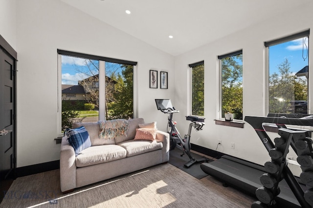 4412 Bembrick St, Bozeman, MT 59718 - workout room with vaulted ceiling, plenty of natural light, and recessed lighting