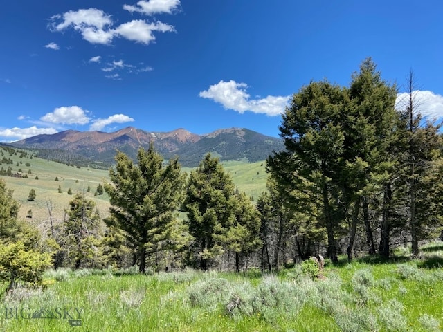 2544 N Camp Creek Rd, Melrose, MT 59742