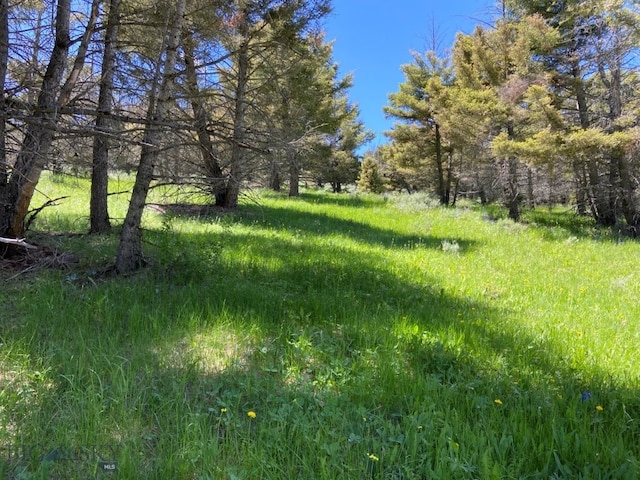 2544 N Camp Creek Rd, Melrose, MT 59742