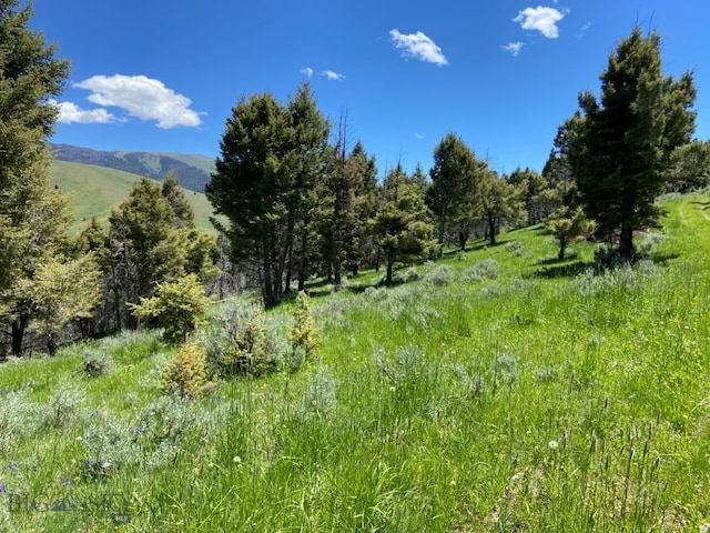 2544 N Camp Creek Rd, Melrose, MT 59742