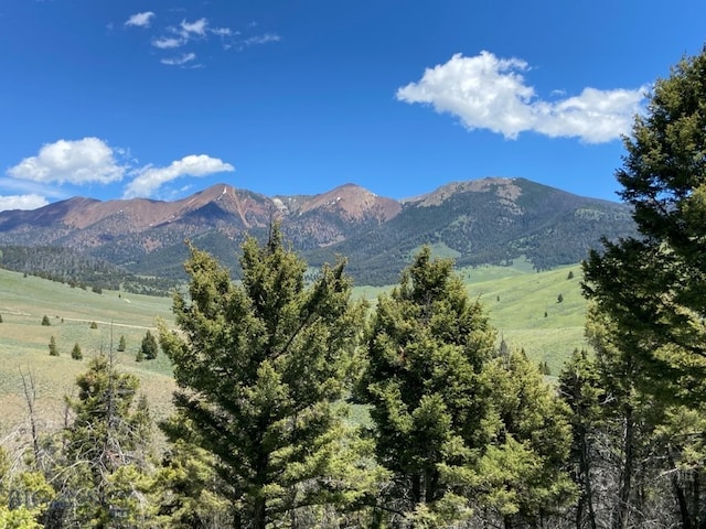 2544 N Camp Creek Rd, Melrose, MT 59742
