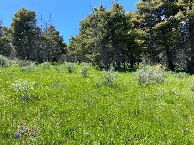 2544 N Camp Creek Rd, Melrose, MT 59742