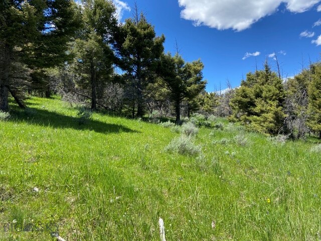 2544 N Camp Creek Rd, Melrose, MT 59742