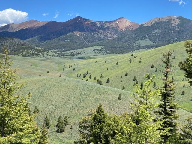 2544 N Camp Creek Rd, Melrose, MT 59742