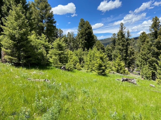 2544 N Camp Creek Rd, Melrose, MT 59742